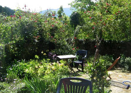 el_empedrado_garden