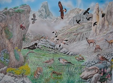 Original artwork by Isidoro Fombellida:: wildlife_isidoro_fombellida