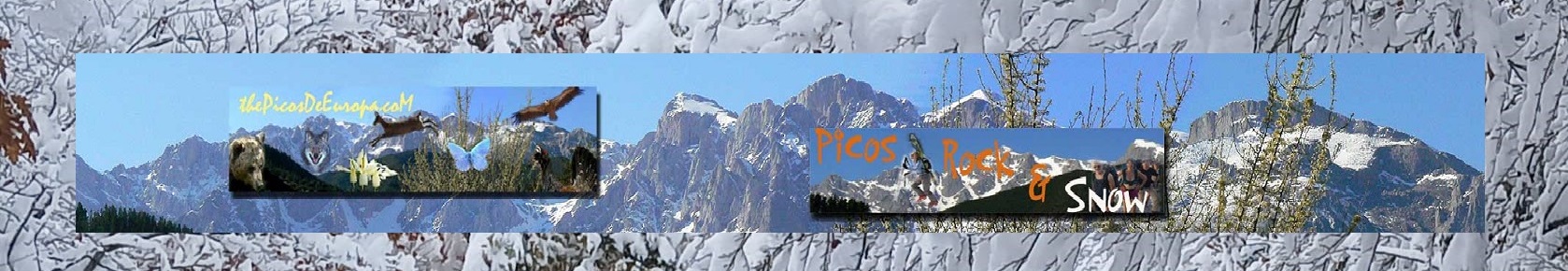 The Picos de Europa The Picos de Europa
