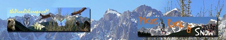 The Picos de Europa