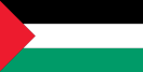 palestine flag