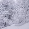 A ski touring week in the Picos and Cordillera Cantabrica, Feb. 2013