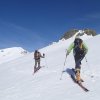 picos-1