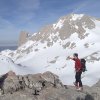 picos-19