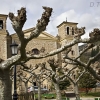 Potes Church
