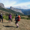 Limestone ridge - 