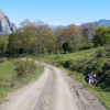 Botanising along the route - 