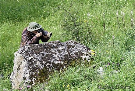 Fotografiando en un prado