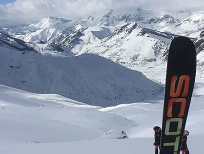 skis
