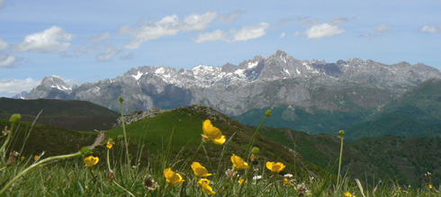 The Picos de Europa from the San Glorio pass