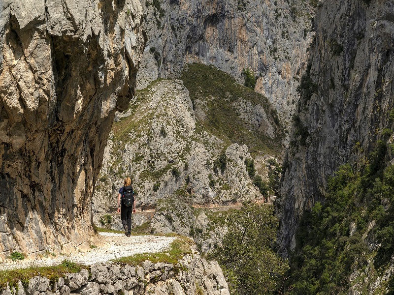 The Cares Gorge