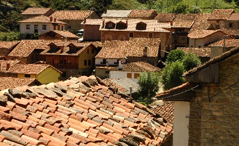 pan_tiled_roofs.jpg