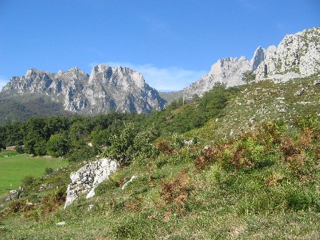 walk.1.jpg