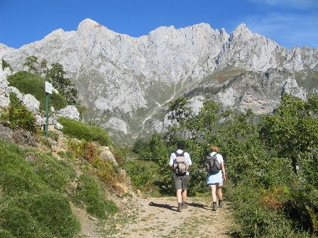 walk.2.jpg