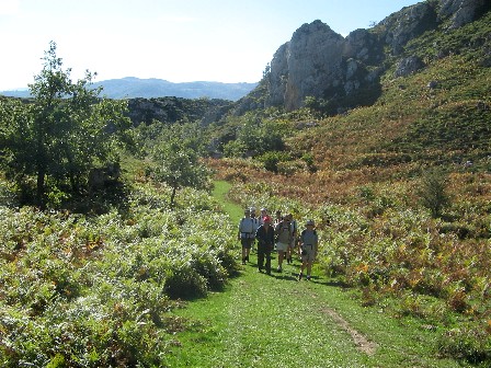 walk.3.jpg