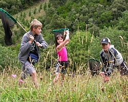 childrens-special-landscape